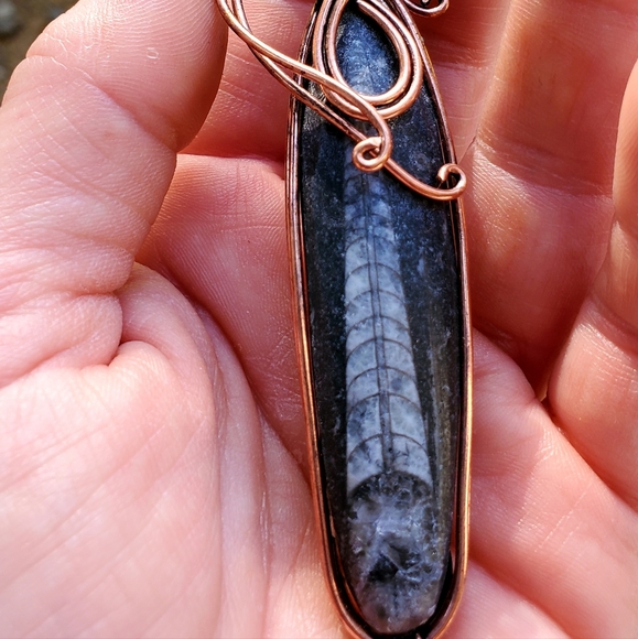 New Oversized Orthoceras Fossil Wire Wrapped Pendant. - Picture 12 of 15